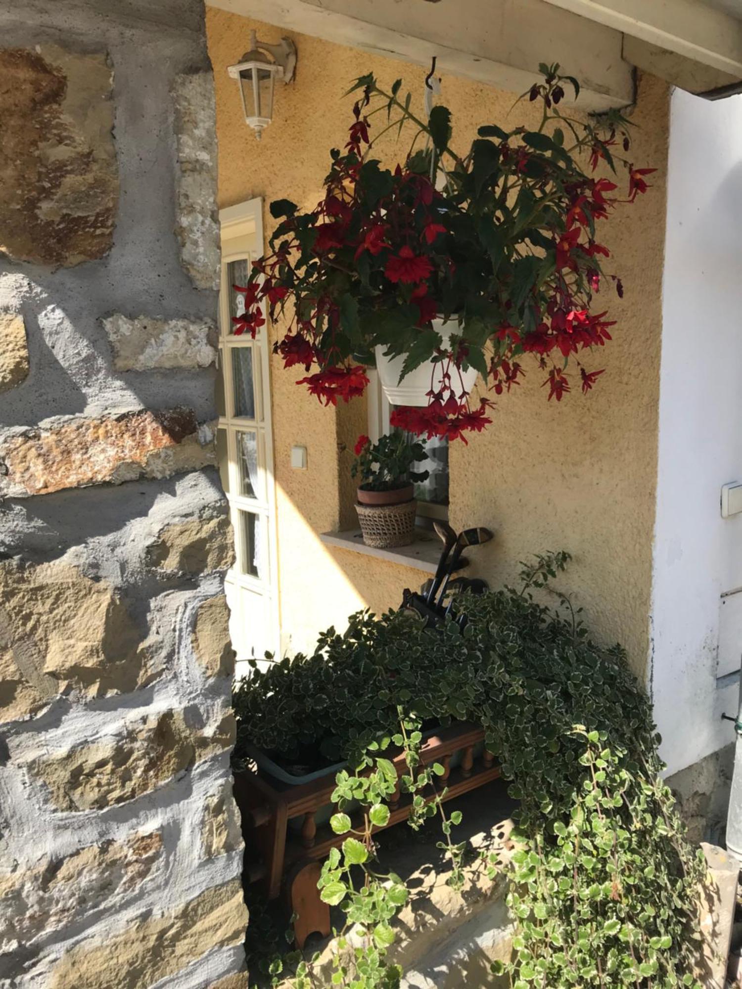 Falubíró Vendégháza Bekolce Exterior foto